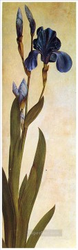 フラワーズ Painting - アイリス・トロイアナ・アルブレヒト・デューラーの古典的な花
